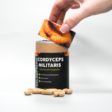 Cordyceps Militaris Mushroom Capsules