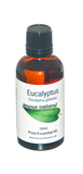 Eucalyptus Pure Essential Oil