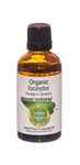 Eucalyptus Essential Oil (Organic)