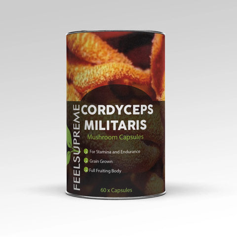 Cordyceps Militaris Mushroom Capsules