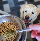 Pet+ Seaweed Flakes