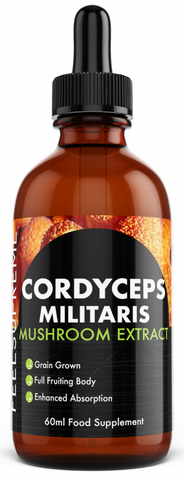 Cordyceps Militaris Mushroom Extract