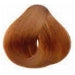 Organic Hair Colour Caramel Blonde 100g