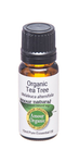 Tea Tree Essential Oil (Organic)