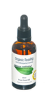 Rosehip Essential Oil (Organic)