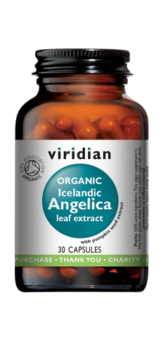 Organic Icelandic Angelica leaf extract